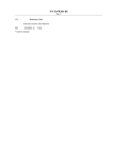 Representative drawing from US 12,678,261